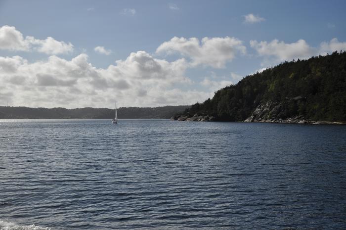 Swedish fjord Gullmarsfjorden