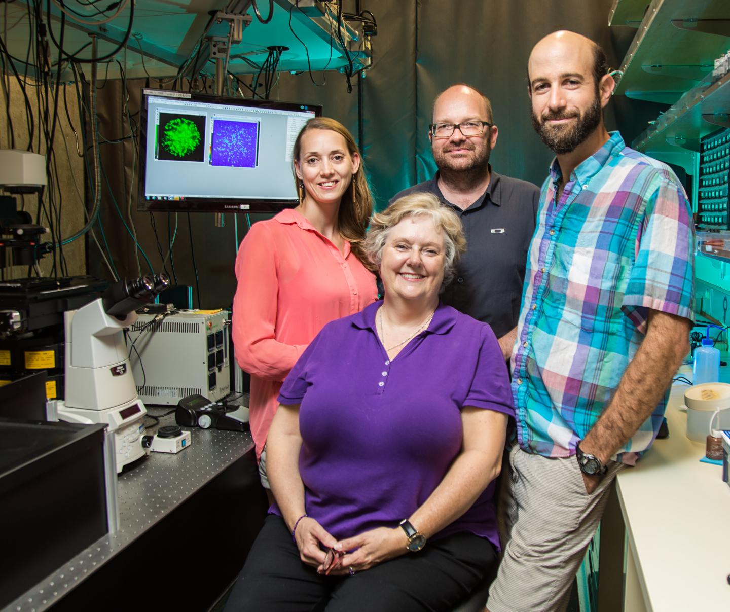  Lucie Novotna, Amy Blount, Bj&ouml;rn Lillemeier and Zachary Katz,  	Salk Institute 