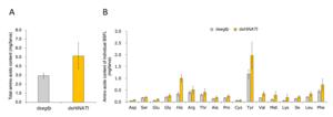 Increased amino acid (AA) content in HiNATt-silenced black soldier fly larvae (BSFL).