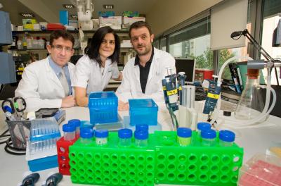 Melanoma Investigators from the IDIBAPS -- Hospital Clínic of Barcelona (2 of 2)