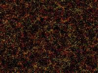 Map of the Large-Scale Structure of the Universe