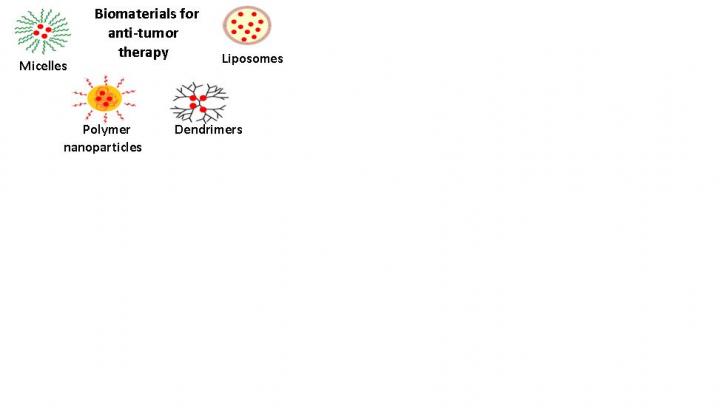 Biomaterials for Anti-Tumor Therapy