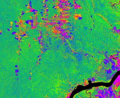 Rain Forest Disturbance in Peru