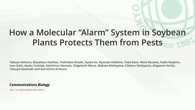 Molecular Alarm System in Plants