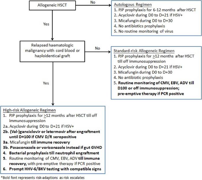 Revised algorithm for prophylactic antimicrobials and infection monitoring.