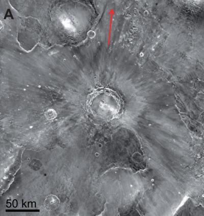 Martian Meteorites from Mojave Crater (1 of 3)