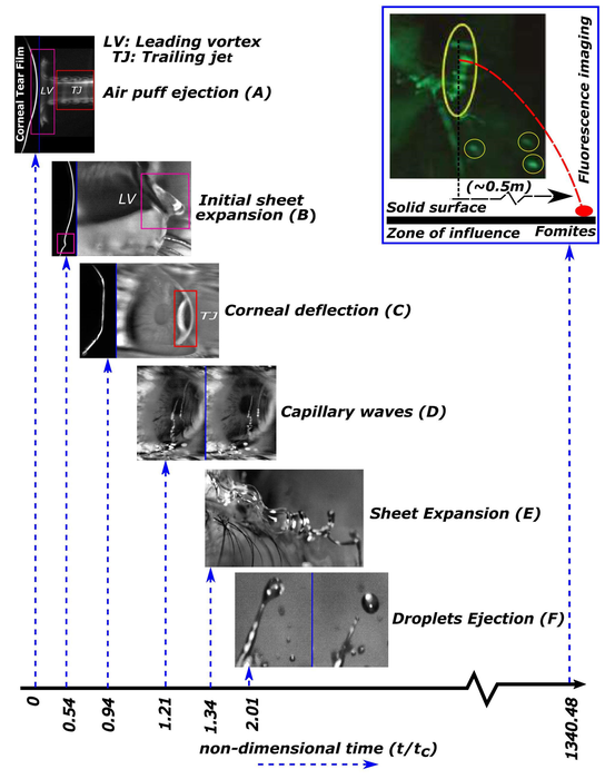 Noninvasive Eye Procedure Provides Potential Pathway for Virus, Disease Carriers