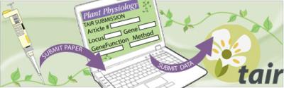 TAIR/Plant Physiology Partnership
