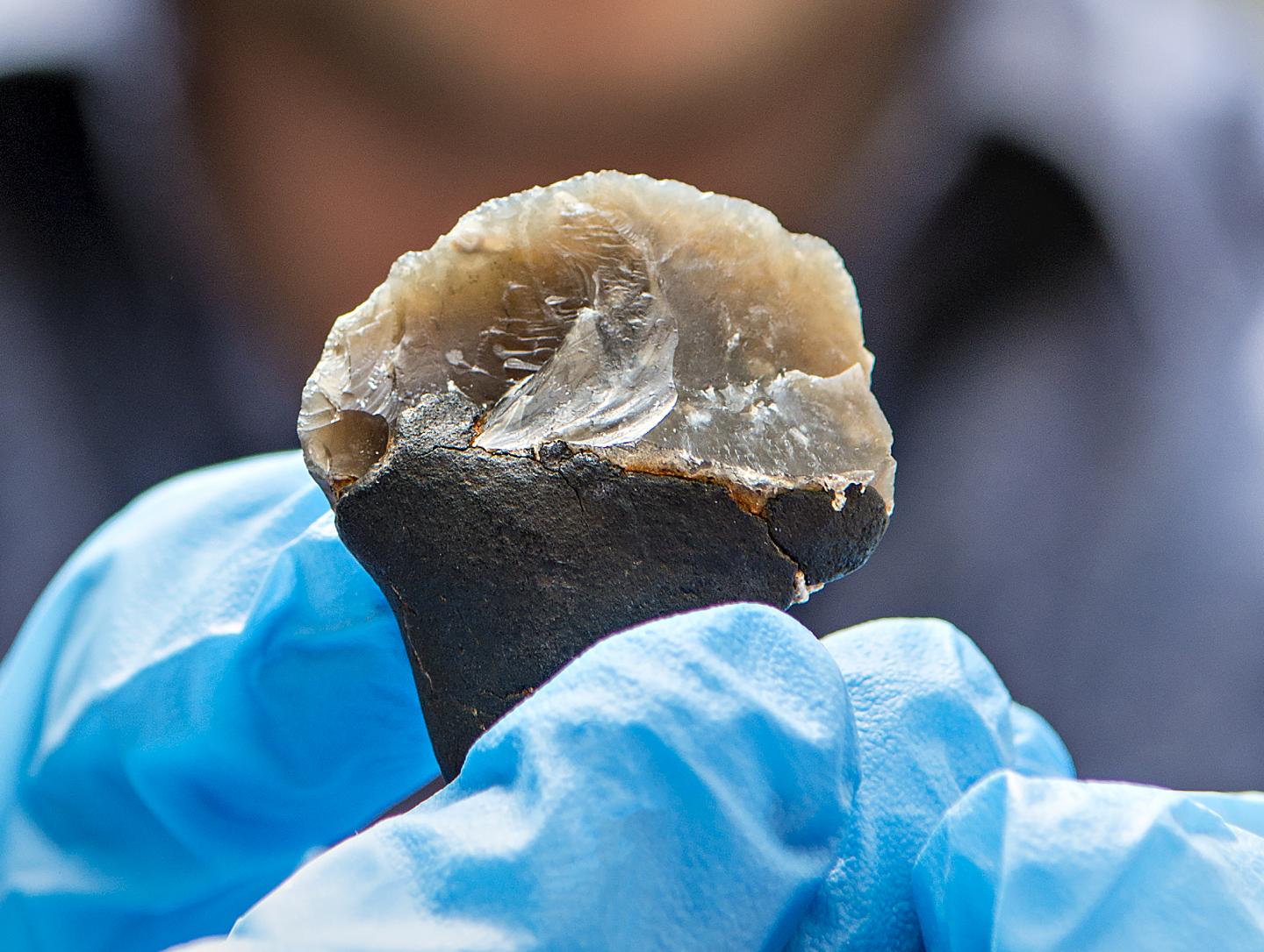 Neandertal birch tarhafted tool EurekAlert!