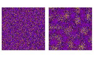 Majority rule in complex mixtures