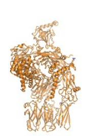 The MASP-2 (blue) Attaches Itself to the Complement Protein C4 (Orange)