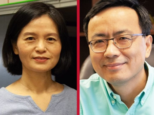 Yuhong Wang, professor of biology and biochemistry and Shoujun Xu, professor of chemistry, at University of Houston