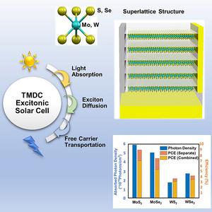 How good can 2D excitonic solar cells be?