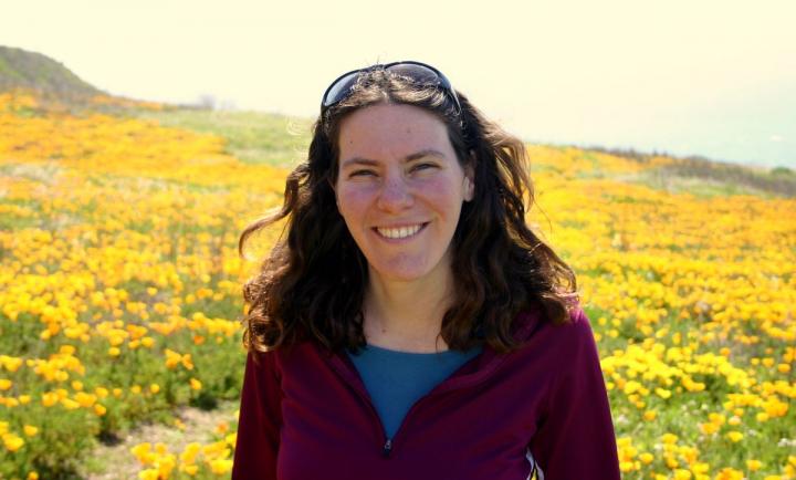 Noa Pinter-Wollman, University of California - Los Angeles 