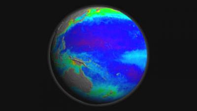 Ocean Biology, 1997-2006