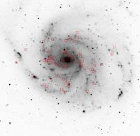Super-soft X-ray Sources in M101