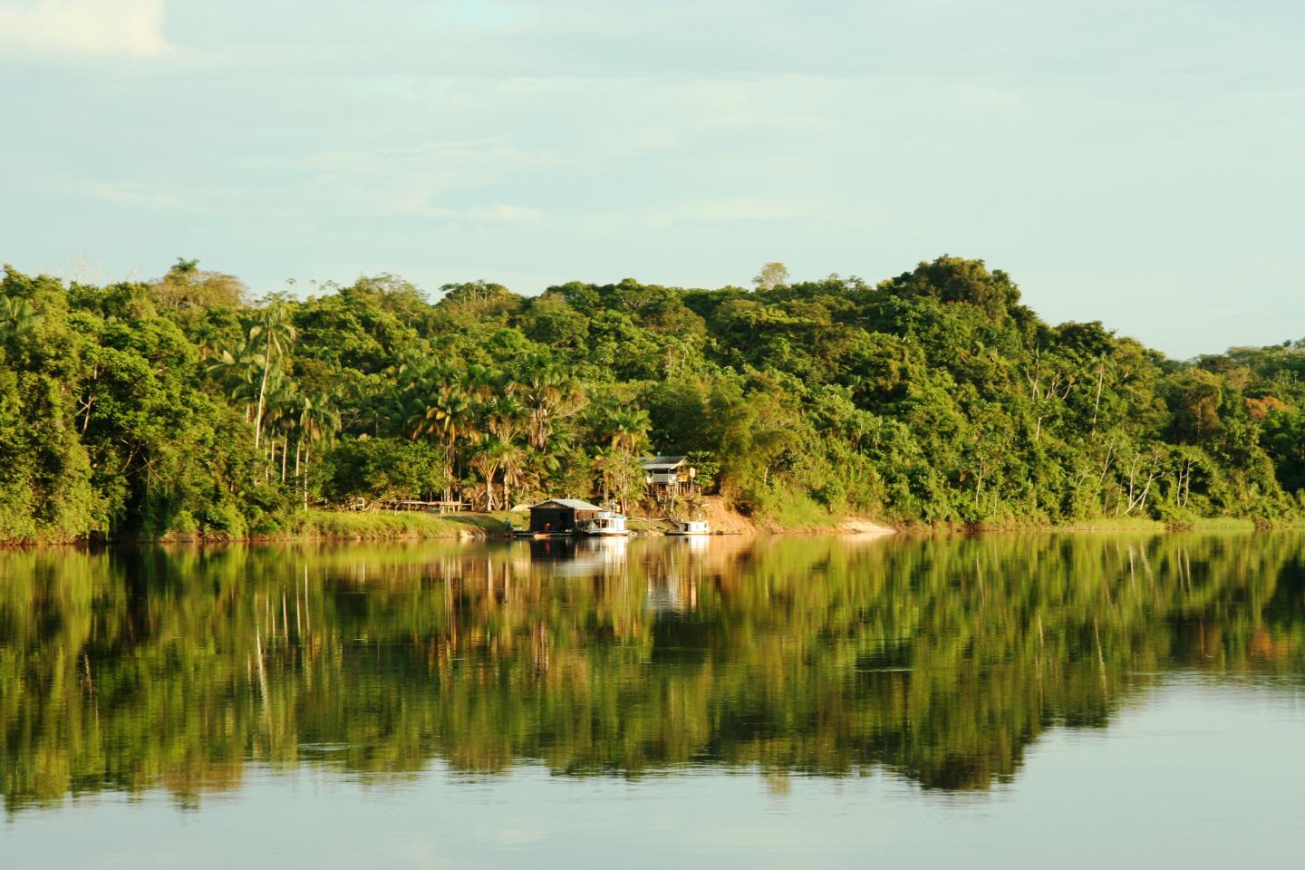 Remote Amazonian Community