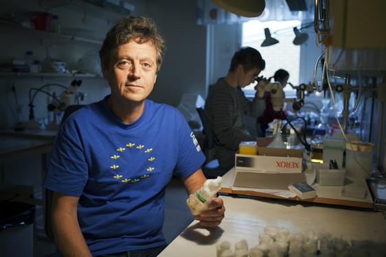 Dan Hultmark, Portrait