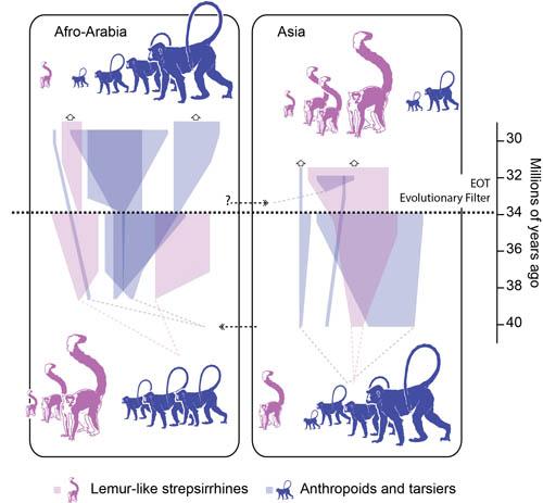 The Eocene-Oligocene Transition