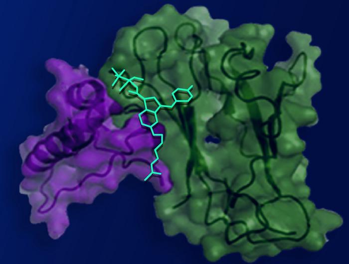 Novel compound relieves pain without side effects