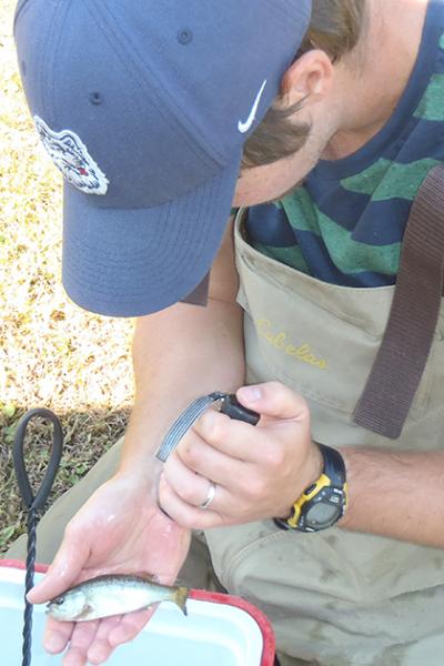 Turning the Spotlight on Common Fishing Practice