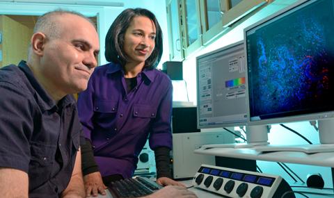 Yucel Akgul and Mala Mahendroo, University of Texas Southwestern Medical Center