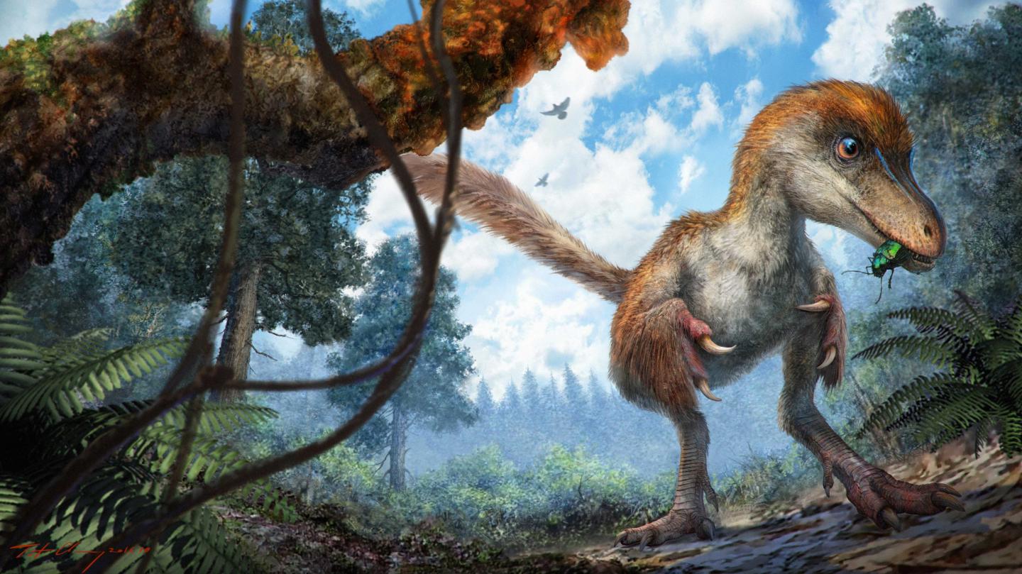 Coelurosaur on Forest Floor