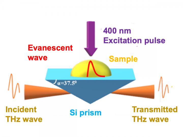 Fig 1