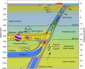 Schematic cross-section illustrating the stability of hydrous phases in cold subducting slabs and the shear-wave anisotropy generated from deformed phase D.