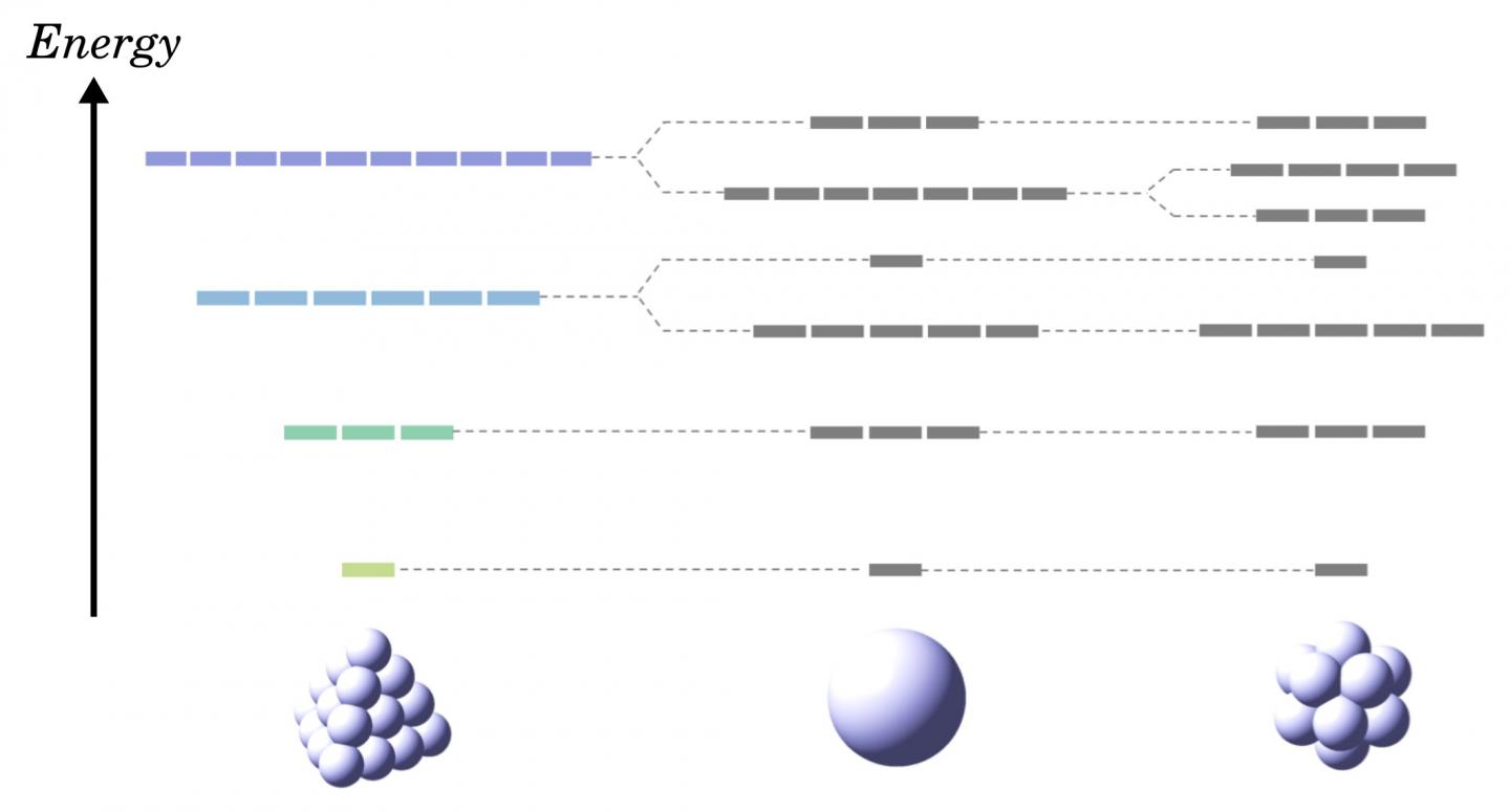 Quantum States of Various Symmetrical Species