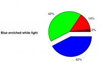 Composition of Standard White Light and Light Enriched with Blue (2 of 2)