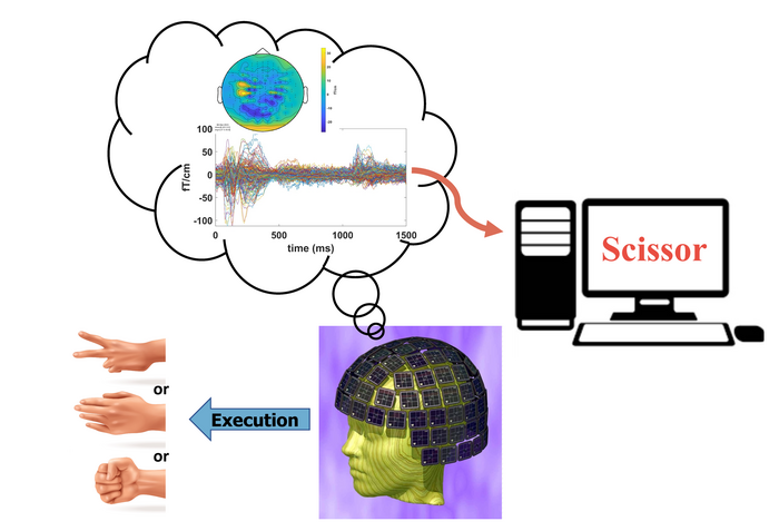 Diagram of Brain-Computer Interface Research Published in Cerebral Cortex
