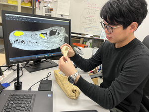 Seishiro Tada, the first author of the research paper, examines a skull