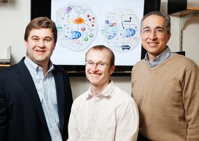 Fruit Flies on Meth researchers