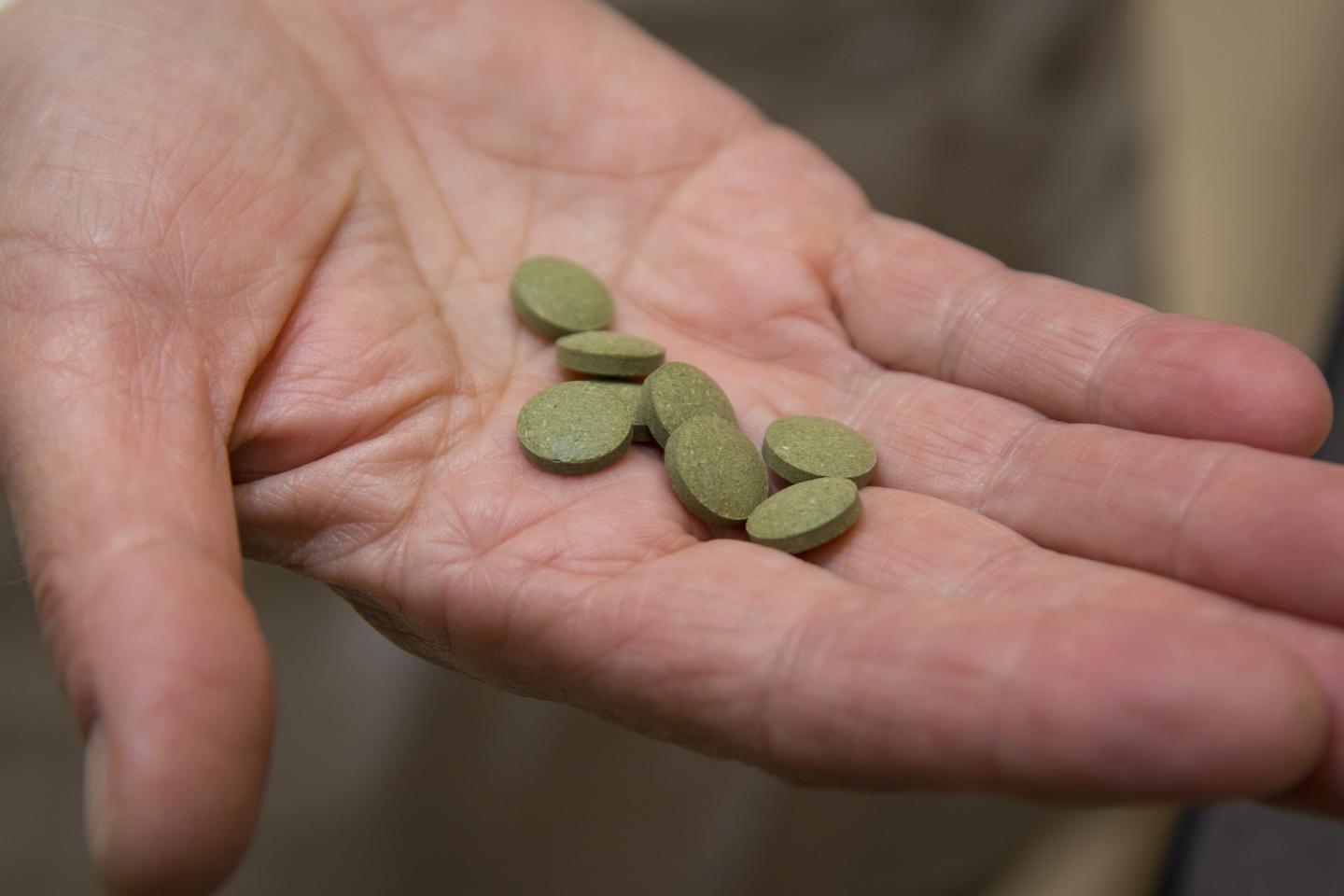Tablets Made from Dried Leaves of <i>Artemisia annua</i>