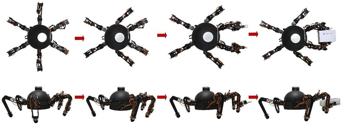 ALLOMAN hexapod robot: a novel multifunctional platform with leg–arm integration