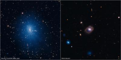 Sample Galaxies in Black Hole Survey
