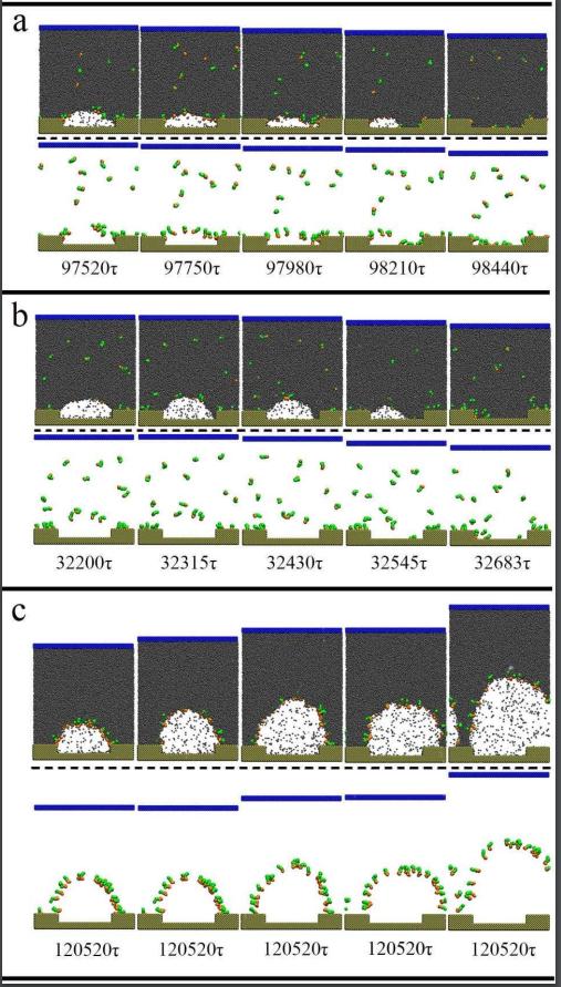 Snapshots for Nanobubbles Losing Their Stability