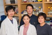 Researchers, Baylor College of Medicine and Rice University