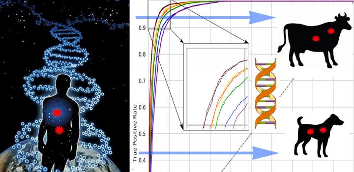 New Computational Method that Predicts Harmful Mutations in Mammalian Species