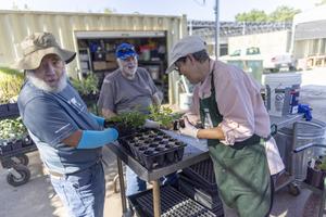 Senior volunteers at the UC Davis Arboretum