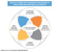 Spectrum of echocardiographic abnormalities in patients with biomarker-evidence of myocardial injury and Covid-19