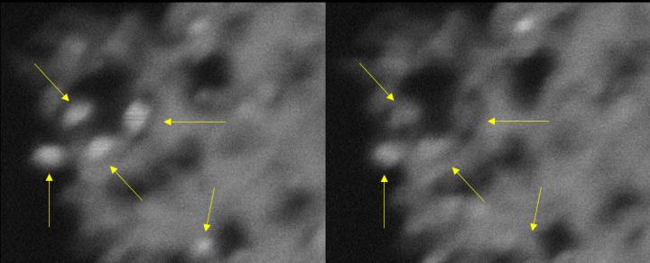 Blinking Nanocrystals Image Eurekalert Science News Releases 