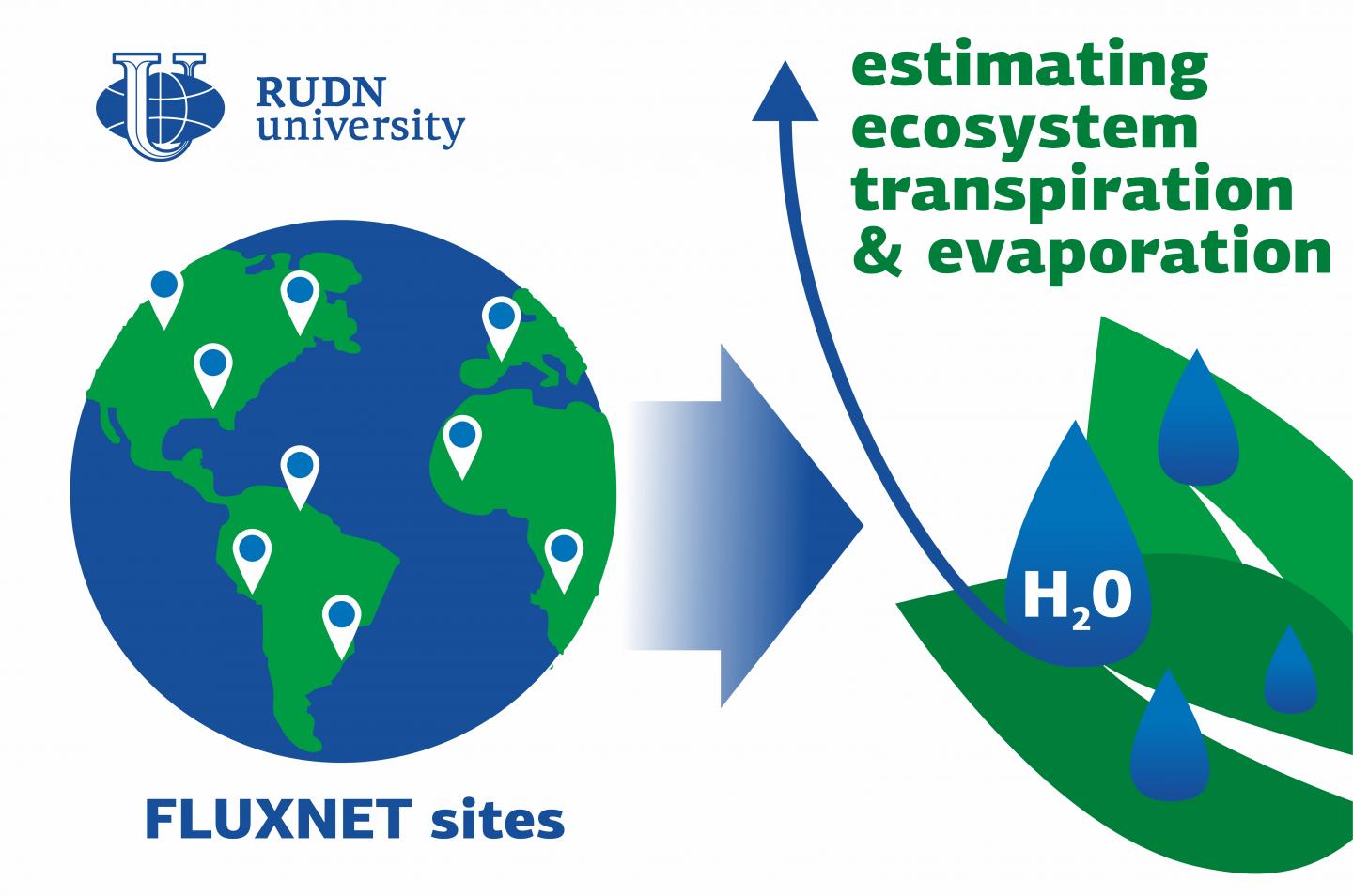 Ecologist from RUDN University contributed to a novel study on vegetation transpiration from a global network of  251 sites