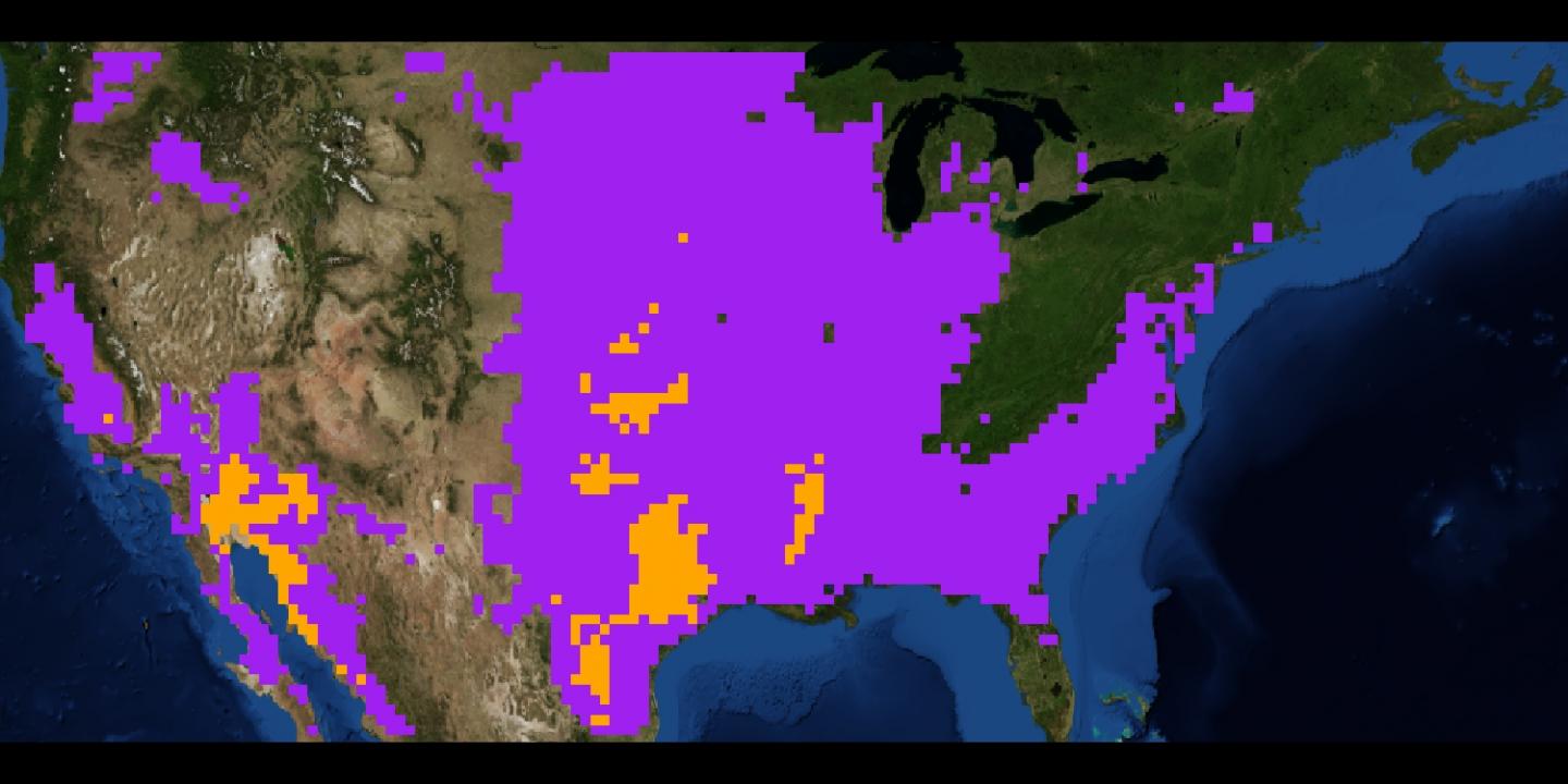In the Next Century, Nearly Half of the US May Become Inhospitable to Lizards