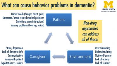 What Can Cause Behavior Problems in Dementia?