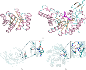 Fig. 1 Natural proteins comprise conserved but nonideal features.