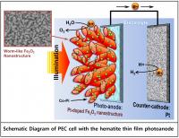 Schematic Diagram of PEC Cell with Wormlike Hematite Photoanode