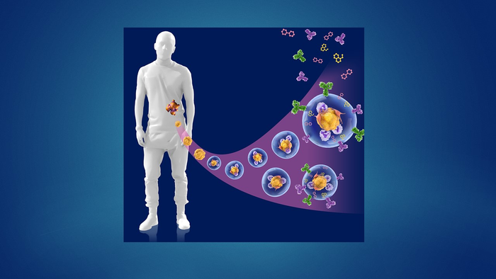 Patient-Derived Micro-Organospheres Enable Cutting-Edge Precision Oncology