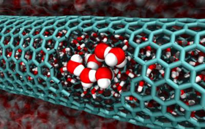 Increase in Disorder Leads Water to Fill Nanotubes